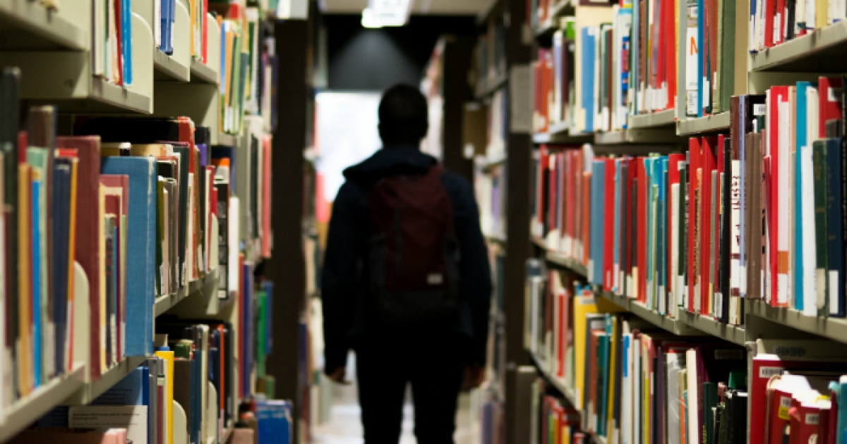 Individual Call to Scientific Employment Stimulus - 8th Edition